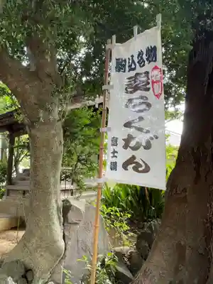 駒込富士神社(東京都)