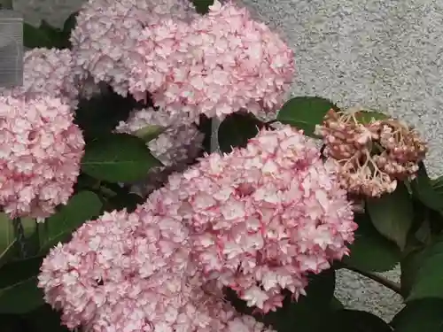 御霊神社(神奈川県)