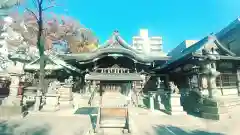 髙牟神社(愛知県)