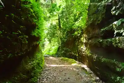 熊野神社(神奈川県)