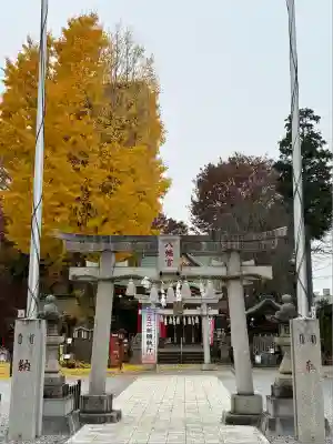 川越八幡宮(埼玉県)