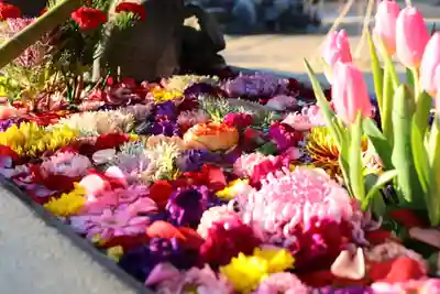 三津厳島神社(愛媛県)