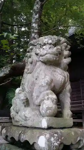 河口浅間神社の狛犬