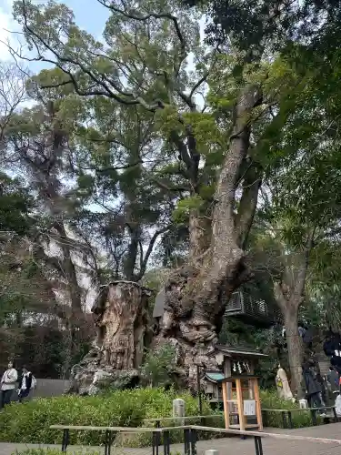來宮神社の{uncategorized: "未分類", other: "その他", undefined: "問題あり", building: "その他建物", grave: "お墓", sacred_gate: "鳥居", guardian: "狛犬", statue: "像", buddha: "仏像", history: "歴史", nature: "自然", garden: "庭園", animal: "動物", pagoda: "塔", temizu: "手水舎", mountain_gate: "山門・神門", sanctuary: "本殿・本堂", subordinate: "末社・摂社", art: "芸術", scenery: "景色", jizo: "地蔵", ema: "絵馬", goshuin: "御朱印", omikuji: "おみくじ", items: "授与品その他", amulet: "お守り", goshuincho: "御朱印帳", eats: "食事", festival: "お祭り", votive_dance: "神楽", shichigosan: "七五三参", wedding: "結婚式", experience: "体験その他", initially: "初詣", around: "周辺", anti_infection: "感染症対策"}