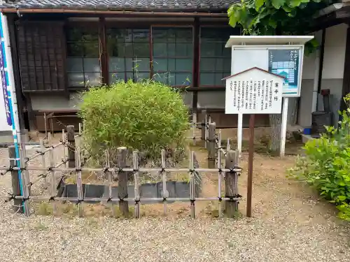 無量寿寺(愛知県)