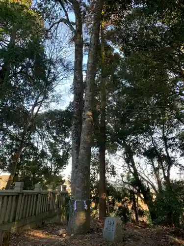岩壷神社の自然