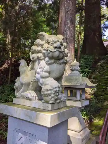 須山浅間神社の狛犬