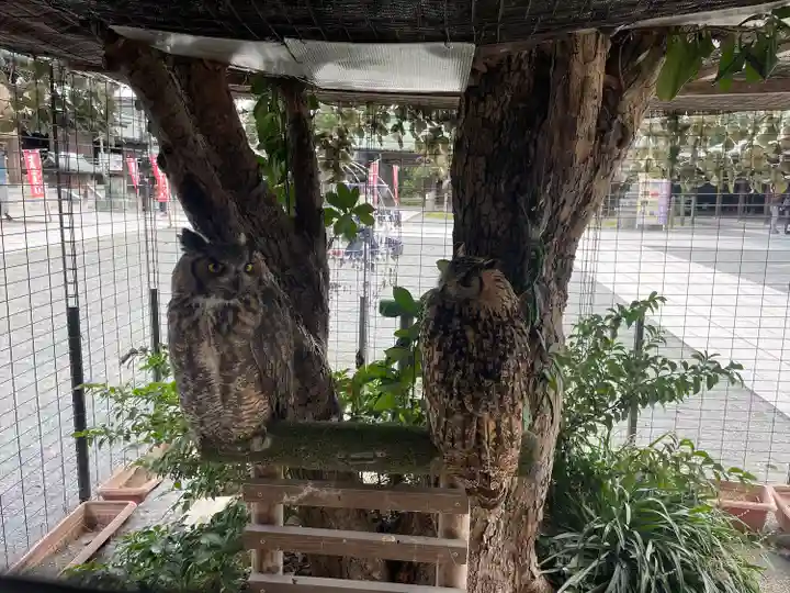 宮地嶽神社(福岡県)