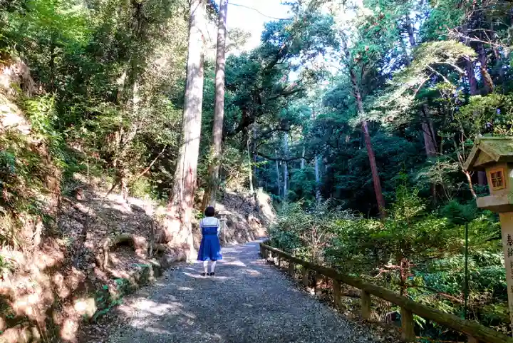 目の霊山 油山寺の自然