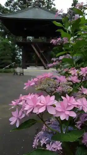  七国山薬王寺の山門