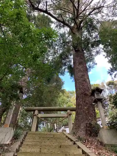 大國主神社の鳥居