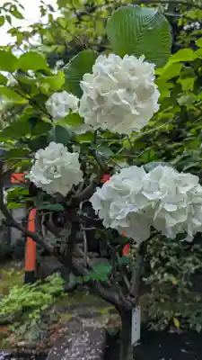 宝蔵寺(京都府)