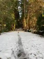 平泉寺白山神社の自然