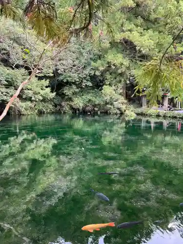 涌釜神社(栃木県)