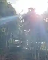 白狐山光星寺(山形県)