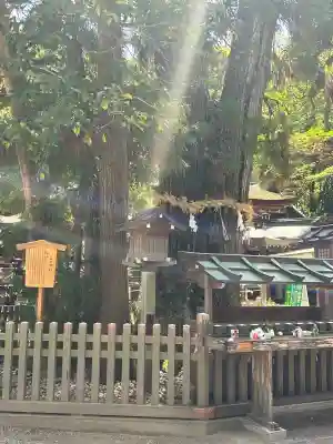 大神神社(奈良県)