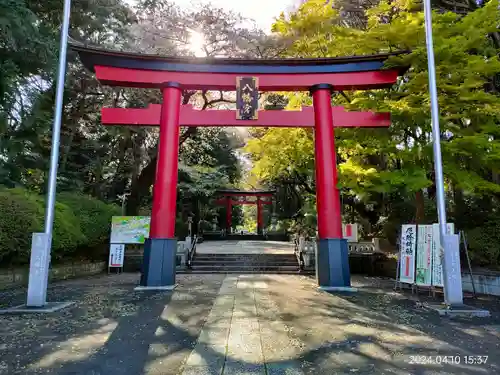 大宮八幡宮の鳥居