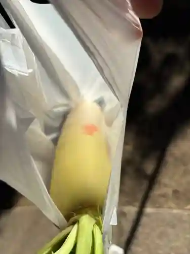 待乳山聖天（本龍院）(東京都)