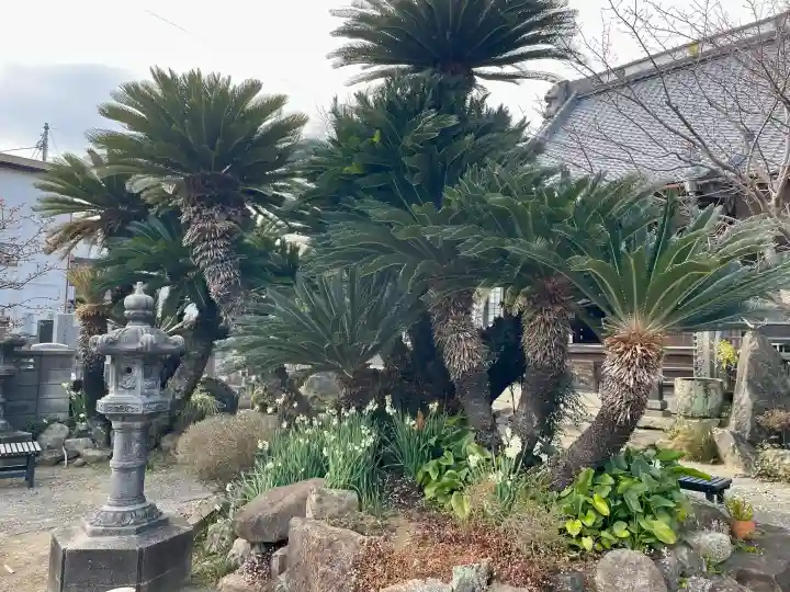 宝福寺の{uncategorized: "未分類", other: "その他", undefined: "問題あり", building: "その他建物", grave: "お墓", sacred_gate: "鳥居", guardian: "狛犬", statue: "像", buddha: "仏像", history: "歴史", nature: "自然", garden: "庭園", animal: "動物", pagoda: "塔", temizu: "手水舎", mountain_gate: "山門・神門", sanctuary: "本殿・本堂", subordinate: "末社・摂社", art: "芸術", scenery: "景色", jizo: "地蔵", ema: "絵馬", goshuin: "御朱印", omikuji: "おみくじ", items: "授与品その他", amulet: "お守り", goshuincho: "御朱印帳", eats: "食事", festival: "お祭り", votive_dance: "神楽", shichigosan: "七五三参", wedding: "結婚式", experience: "体験その他", initially: "初詣", around: "周辺", anti_infection: "感染症対策"}