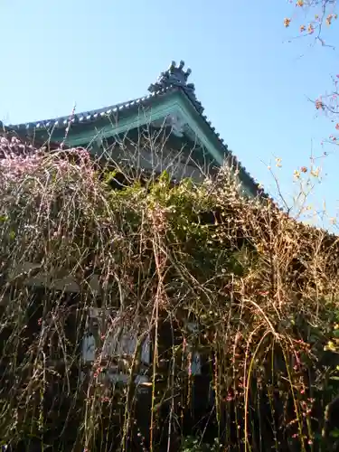 宝戒寺のその他建物