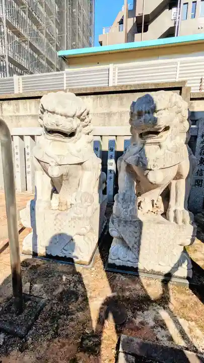 荻窪白山神社の狛犬