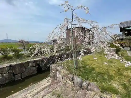 八幡神社(滋賀県)