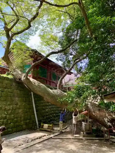 志波彦神社・鹽竈神社の{uncategorized: "未分類", other: "その他", undefined: "問題あり", building: "その他建物", grave: "お墓", sacred_gate: "鳥居", guardian: "狛犬", statue: "像", buddha: "仏像", history: "歴史", nature: "自然", garden: "庭園", animal: "動物", pagoda: "塔", temizu: "手水舎", mountain_gate: "山門・神門", sanctuary: "本殿・本堂", subordinate: "末社・摂社", art: "芸術", scenery: "景色", jizo: "地蔵", ema: "絵馬", goshuin: "御朱印", omikuji: "おみくじ", items: "授与品その他", amulet: "お守り", goshuincho: "御朱印帳", eats: "食事", festival: "お祭り", votive_dance: "神楽", shichigosan: "七五三参", wedding: "結婚式", experience: "体験その他", initially: "初詣", around: "周辺", anti_infection: "感染症対策"}