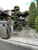 常泉院(東京都)