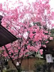 佐嘉神社／松原神社の自然