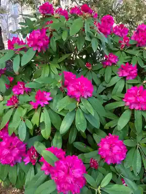 穴八幡宮(東京都)