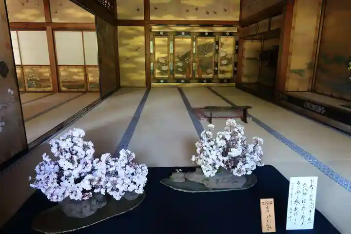 仁和寺(京都府)