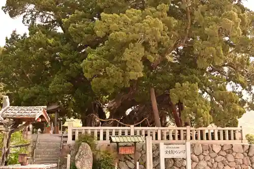 寶生院(香川県)