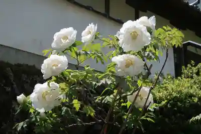 長谷寺(奈良県)
