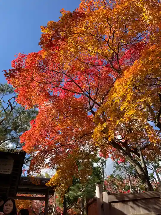 化野念仏寺(京都府)