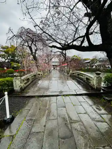 三嶋大社の{uncategorized: "未分類", other: "その他", undefined: "問題あり", building: "その他建物", grave: "お墓", sacred_gate: "鳥居", guardian: "狛犬", statue: "像", buddha: "仏像", history: "歴史", nature: "自然", garden: "庭園", animal: "動物", pagoda: "塔", temizu: "手水舎", mountain_gate: "山門・神門", sanctuary: "本殿・本堂", subordinate: "末社・摂社", art: "芸術", scenery: "景色", jizo: "地蔵", ema: "絵馬", goshuin: "御朱印", omikuji: "おみくじ", items: "授与品その他", amulet: "お守り", goshuincho: "御朱印帳", eats: "食事", festival: "お祭り", votive_dance: "神楽", shichigosan: "七五三参", wedding: "結婚式", experience: "体験その他", initially: "初詣", around: "周辺", anti_infection: "感染症対策"}