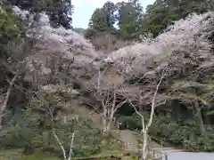 室生寺(奈良県)