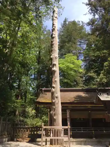 諏訪大社下社春宮の自然