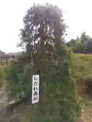 長泉寺(埼玉県)