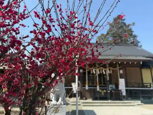 櫻岡大神宮の{uncategorized: "未分類", other: "その他", undefined: "問題あり", building: "その他建物", grave: "お墓", sacred_gate: "鳥居", guardian: "狛犬", statue: "像", buddha: "仏像", history: "歴史", nature: "自然", garden: "庭園", animal: "動物", pagoda: "塔", temizu: "手水舎", mountain_gate: "山門・神門", sanctuary: "本殿・本堂", subordinate: "末社・摂社", art: "芸術", scenery: "景色", jizo: "地蔵", ema: "絵馬", goshuin: "御朱印", omikuji: "おみくじ", items: "授与品その他", amulet: "お守り", goshuincho: "御朱印帳", eats: "食事", festival: "お祭り", votive_dance: "神楽", shichigosan: "七五三参", wedding: "結婚式", experience: "体験その他", initially: "初詣", around: "周辺", anti_infection: "感染症対策"}