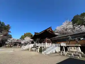 手力雄神社(岐阜県)(2025年04月04日(金) 08時32分29秒投稿)