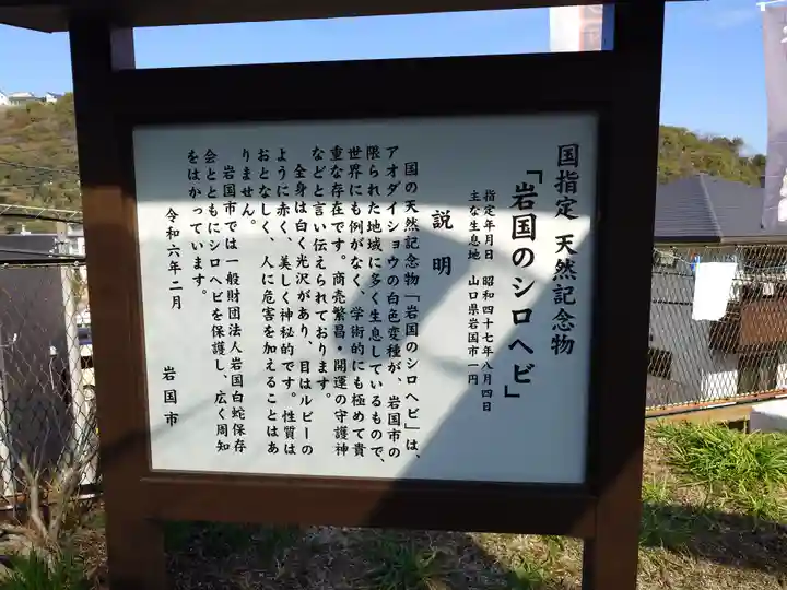 岩国白蛇神社(山口県)
