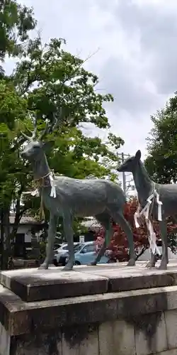 立木神社の狛犬