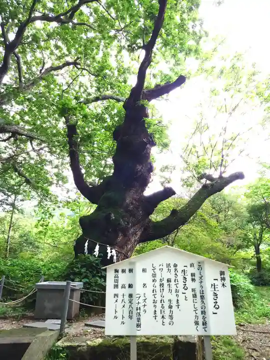那須温泉神社(栃木県)