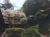 吉野水分神社(吉野町)の本殿・本堂
