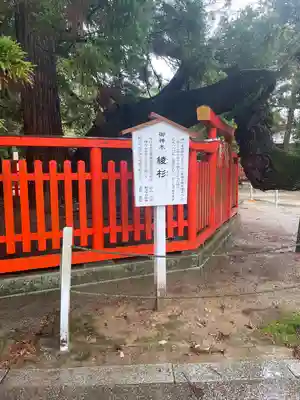 香椎宮(福岡県)