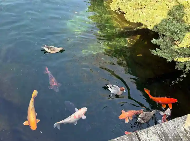 西林寺奥の院(杖の淵)の周辺