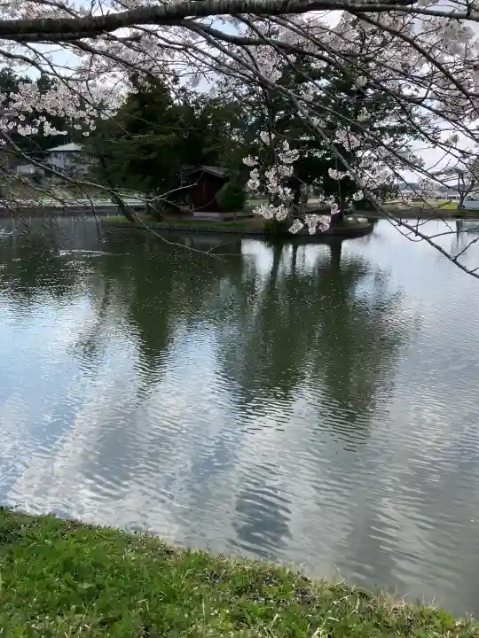 厳島神社(市塙)の周辺