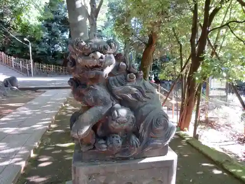 渋谷氷川神社の狛犬