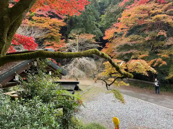 日向大神宮(京都府)