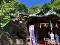 代々木八幡宮の狛犬